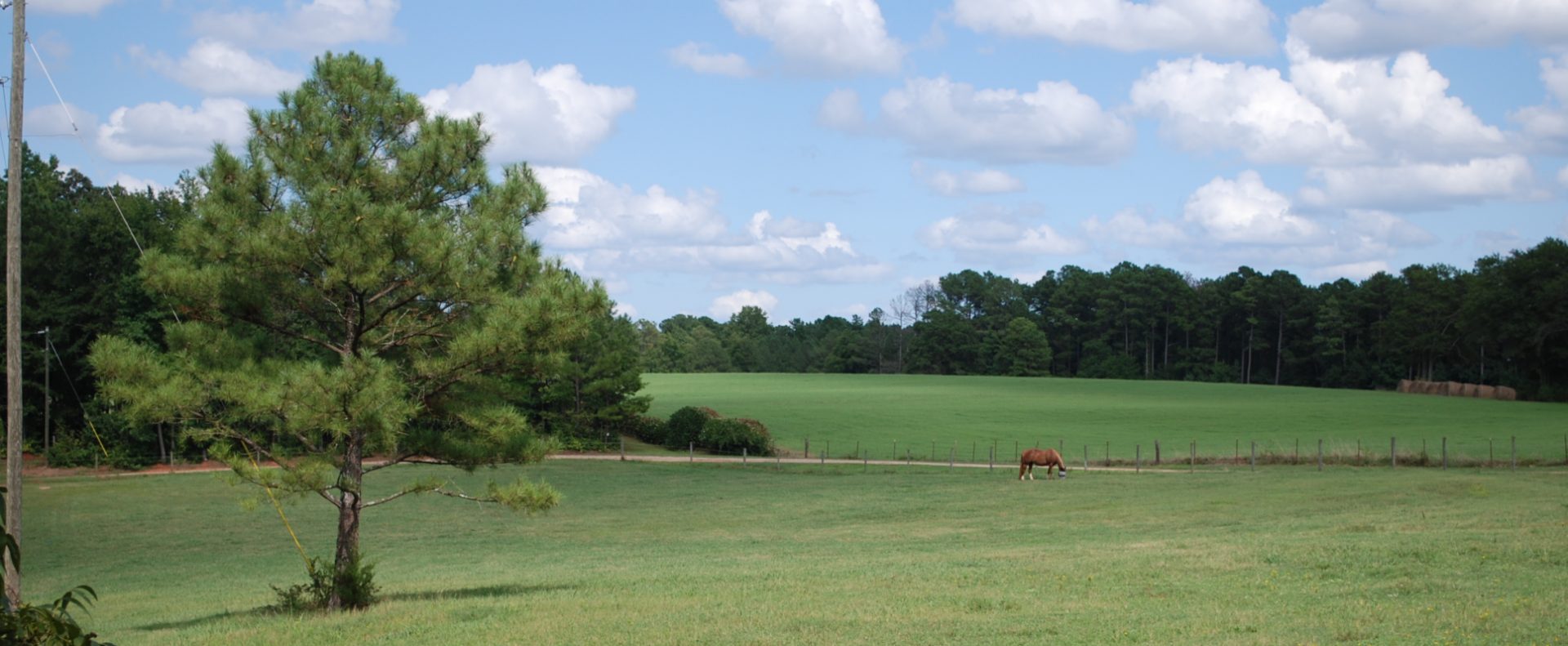 Hawkes Creek Farm